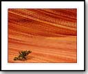 The Wave, Vermillion Cliffs-Paria Canyon National Monument, AZ